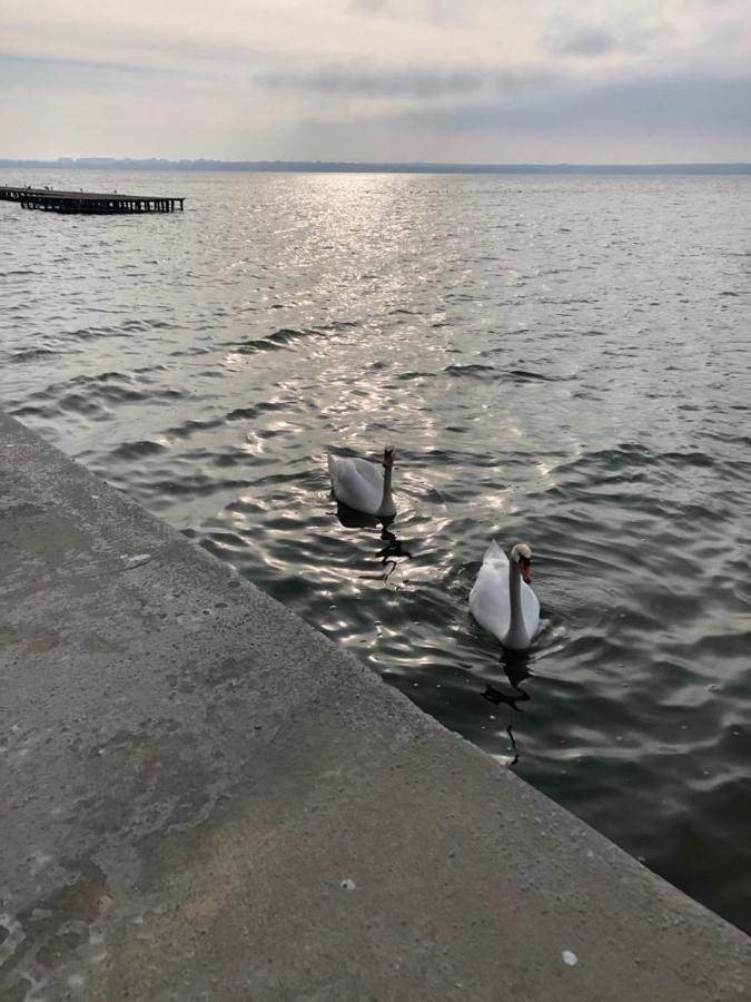 Apartament Oancea Butoaie - Decomandat Cu 2 Dormitoare Mamaia